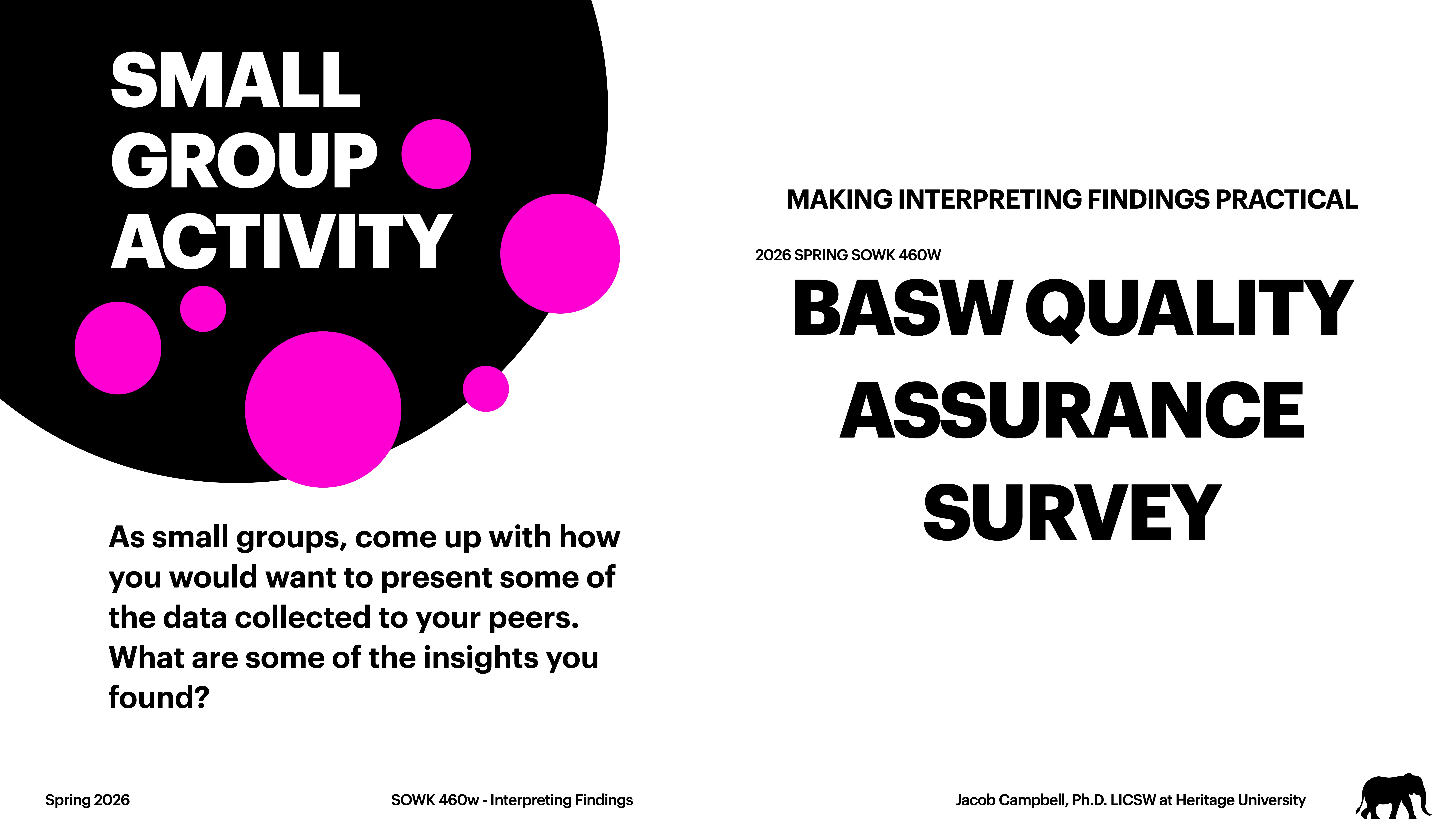 The image displays two presentation slides. Left slide: 'SMALL GROUP ACTIVITY' with pink circles; prompts groups to present data insights. Right slide: 'BASW QUALITY ASSURANCE SURVEY' for a practical findings course.