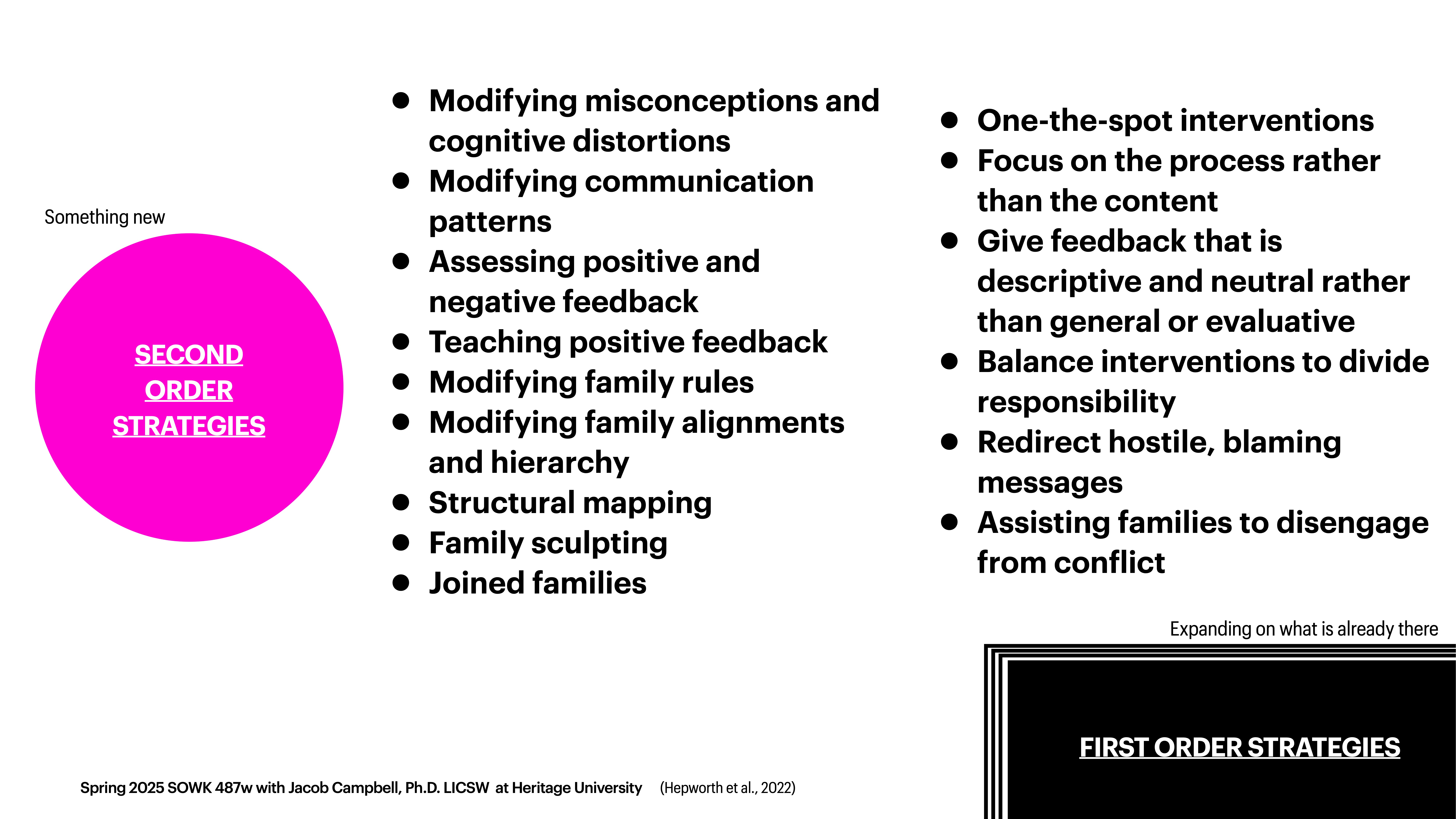 A presentation slide displays a pink circle labeled 'SECOND ORDER STRATEGIES,' listing various strategies like modifying misconceptions, communication, and family dynamics. It contrasts with 'FIRST ORDER STRATEGIES' shown in the corner.