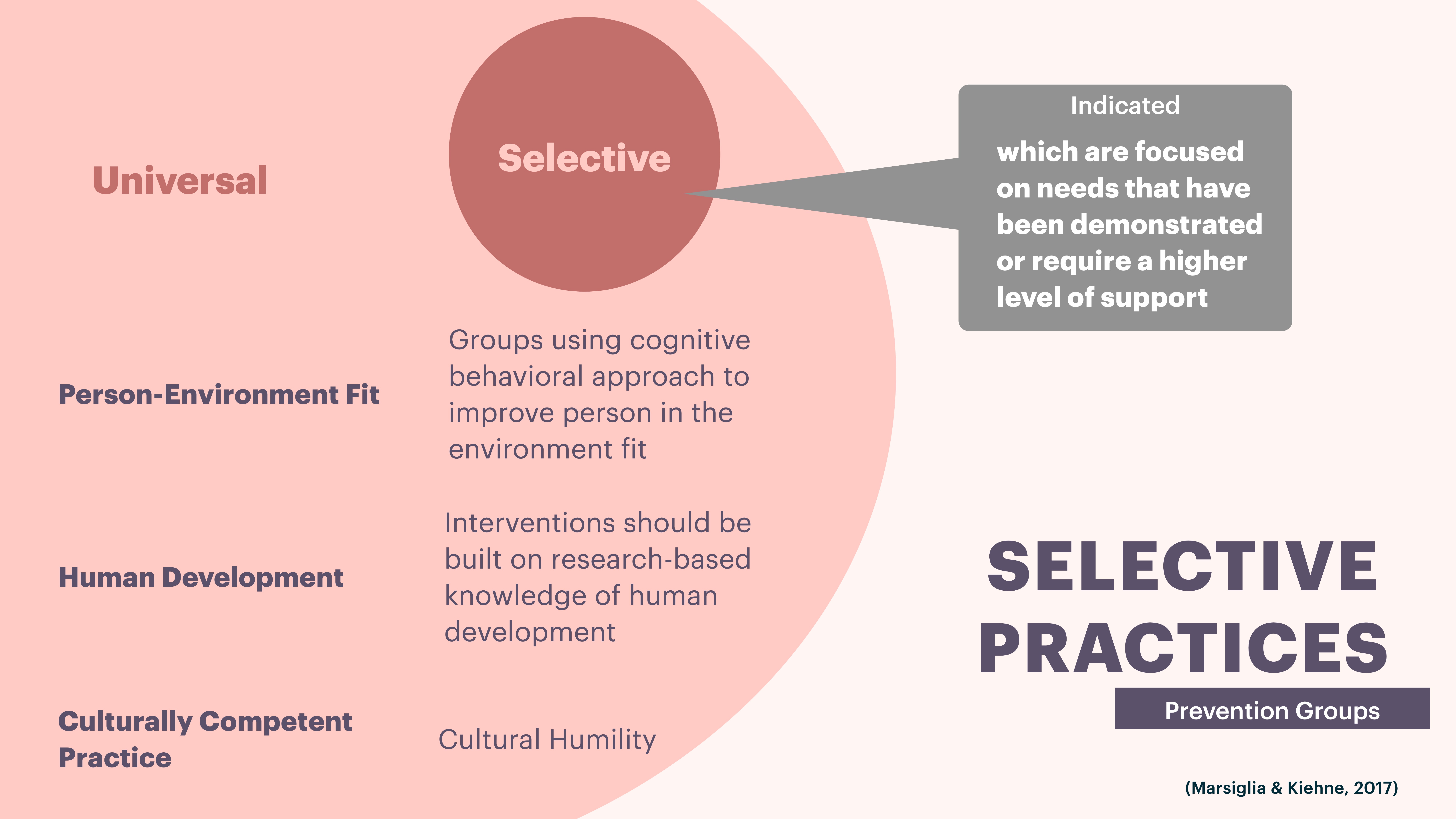 The image shows a Venn diagram highlighting 'Selective' practices under 'Prevention Groups.' Text explains methods like cognitive behavioral approach and research-based interventions. 'Cultural Humility' and 'Person-Environment Fit' are emphasized. (Marsiglia & Kiehne, 2017).