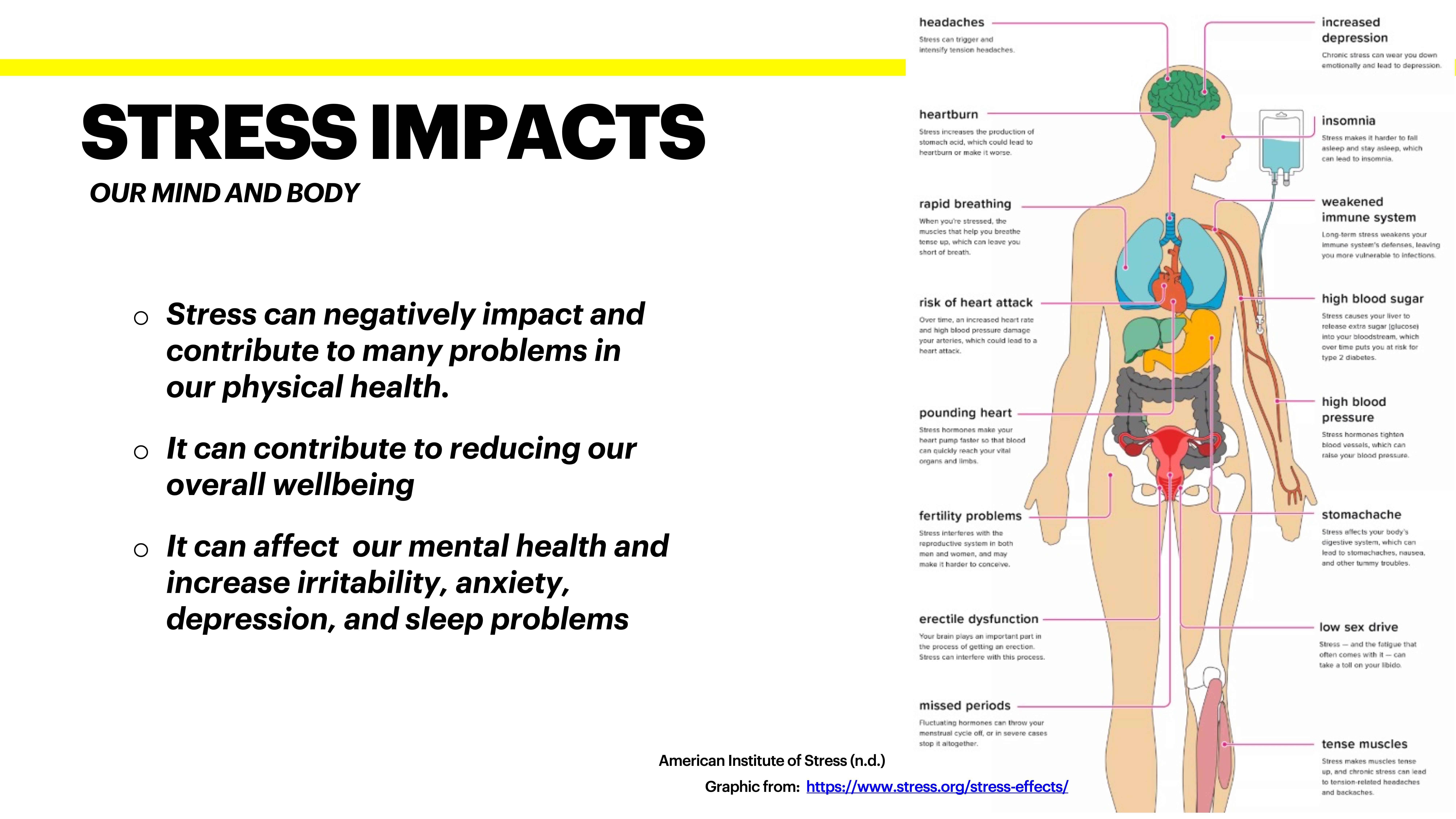 Slide with diagram of human body illustrating stress effects. Text highlights stress impacts: 'negatively impacts physical health,' 'reduces wellbeing,' 'affects mental health' causing 'irritability, anxiety, depression, sleep problems.' Source: American Institute of Stress.