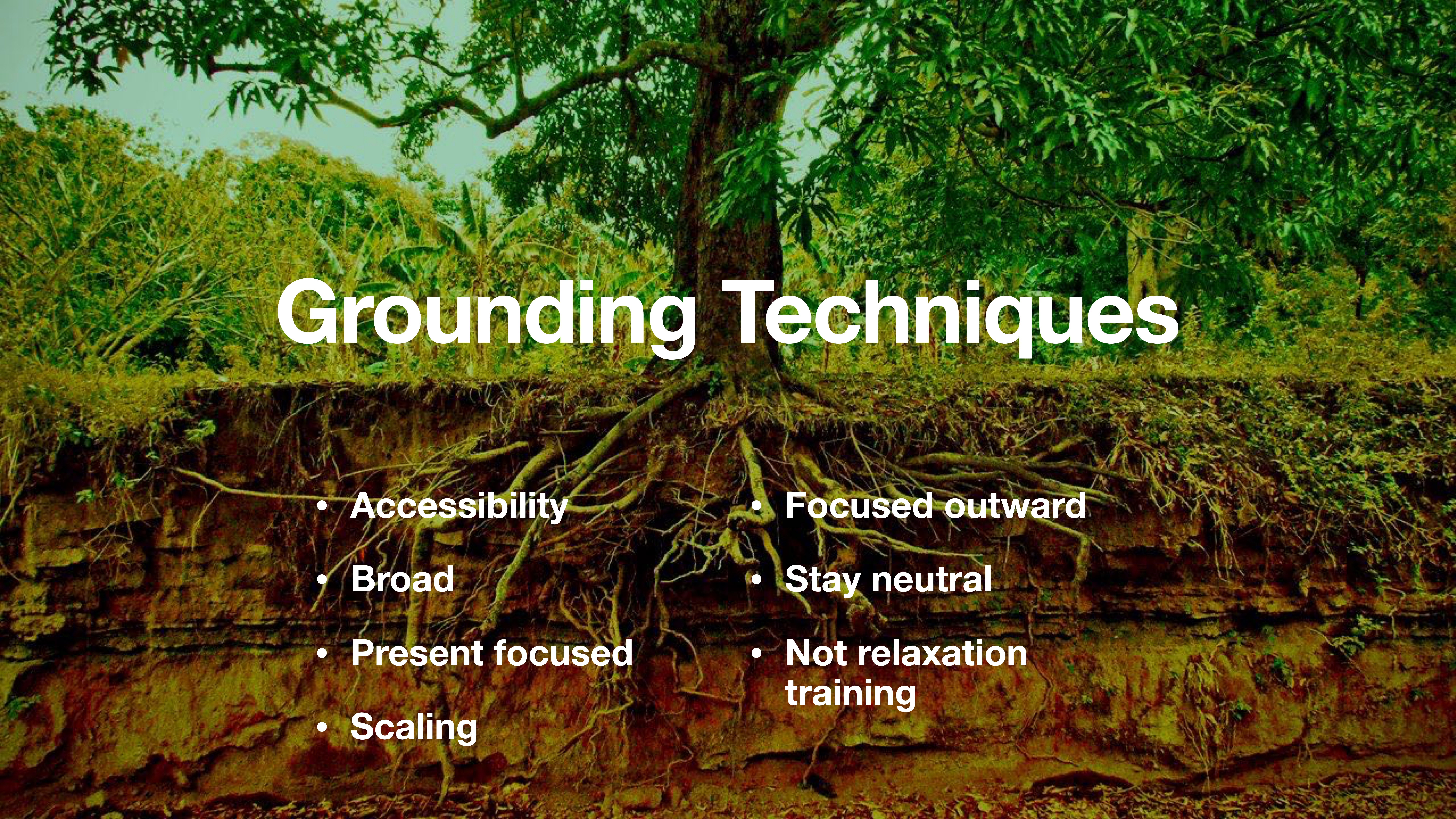 Tree roots extend into a dirt embankment, surrounded by dense foliage. Text overlay reads: 'Grounding Techniques: Accessibility, Broad, Present focused, Scaling, Focused outward, Stay neutral, Not relaxation training.'
