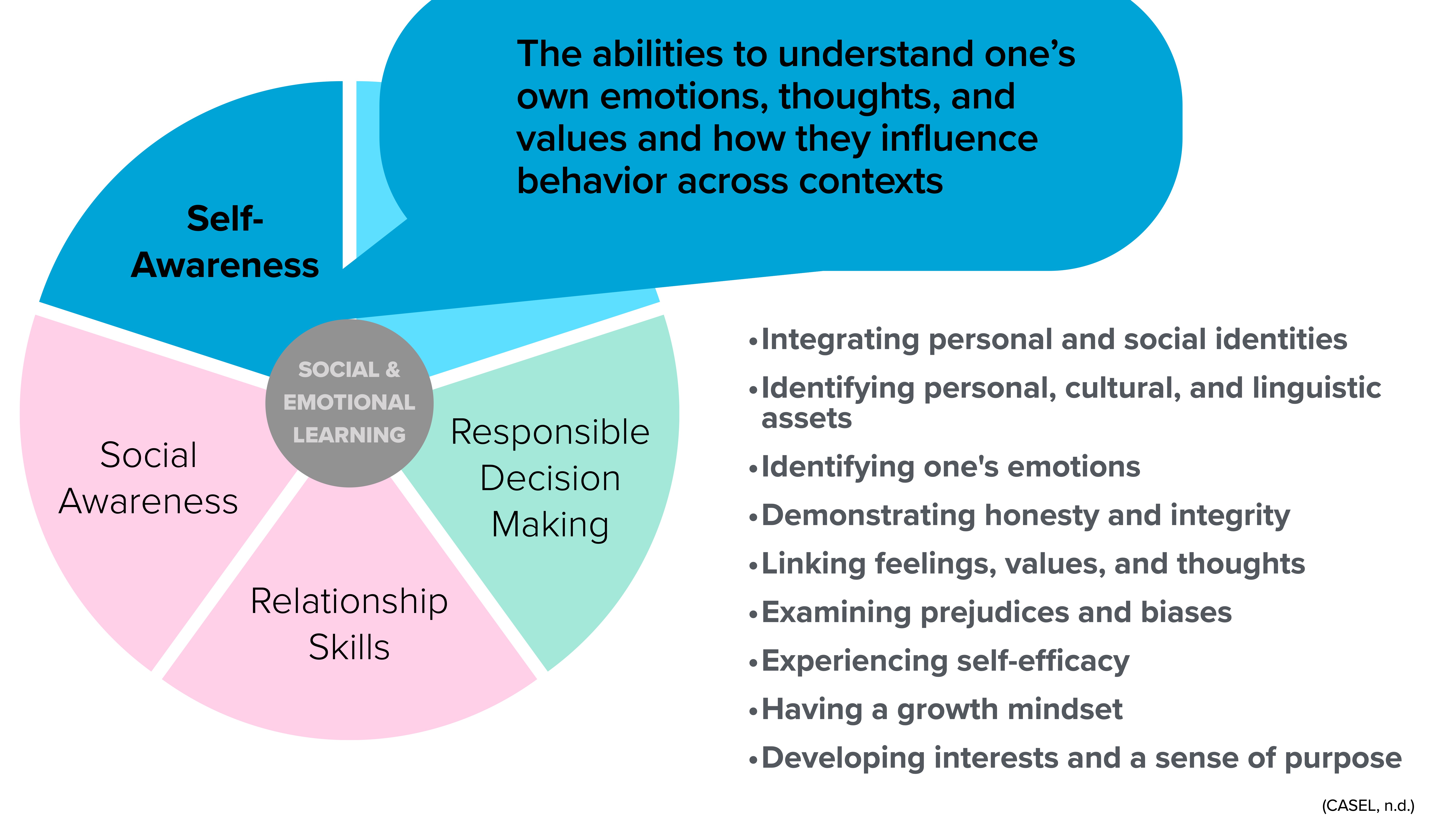 A pie chart illustrates five aspects of social and emotional learning: Self-Awareness, Social Awareness, Relationship Skills, Responsible Decision Making. Text details components of understanding emotions and thoughts.