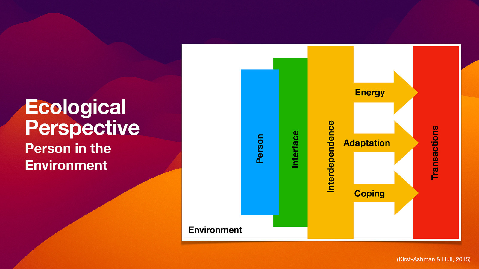 Adaptation Transactions Person in the Environment Interdependence Person Ecological Perspective Interface Energy Coping Environment (Kirst-Ashman & Hull, 2015)
