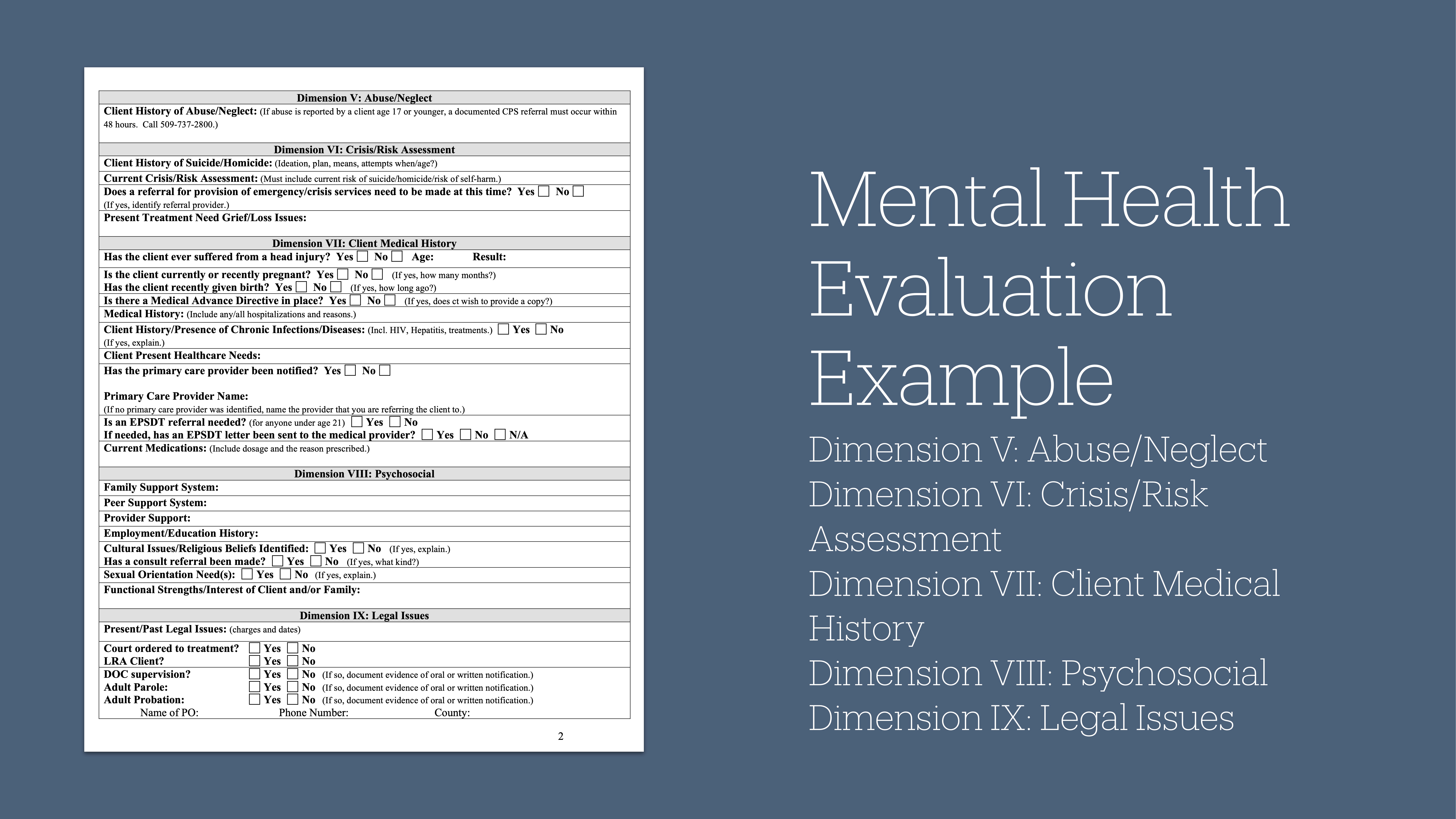 Document displaying a mental health evaluation form on the left. On the right, text lists dimensions like abuse, crisis assessment, medical history, psychosocial, and legal issues.