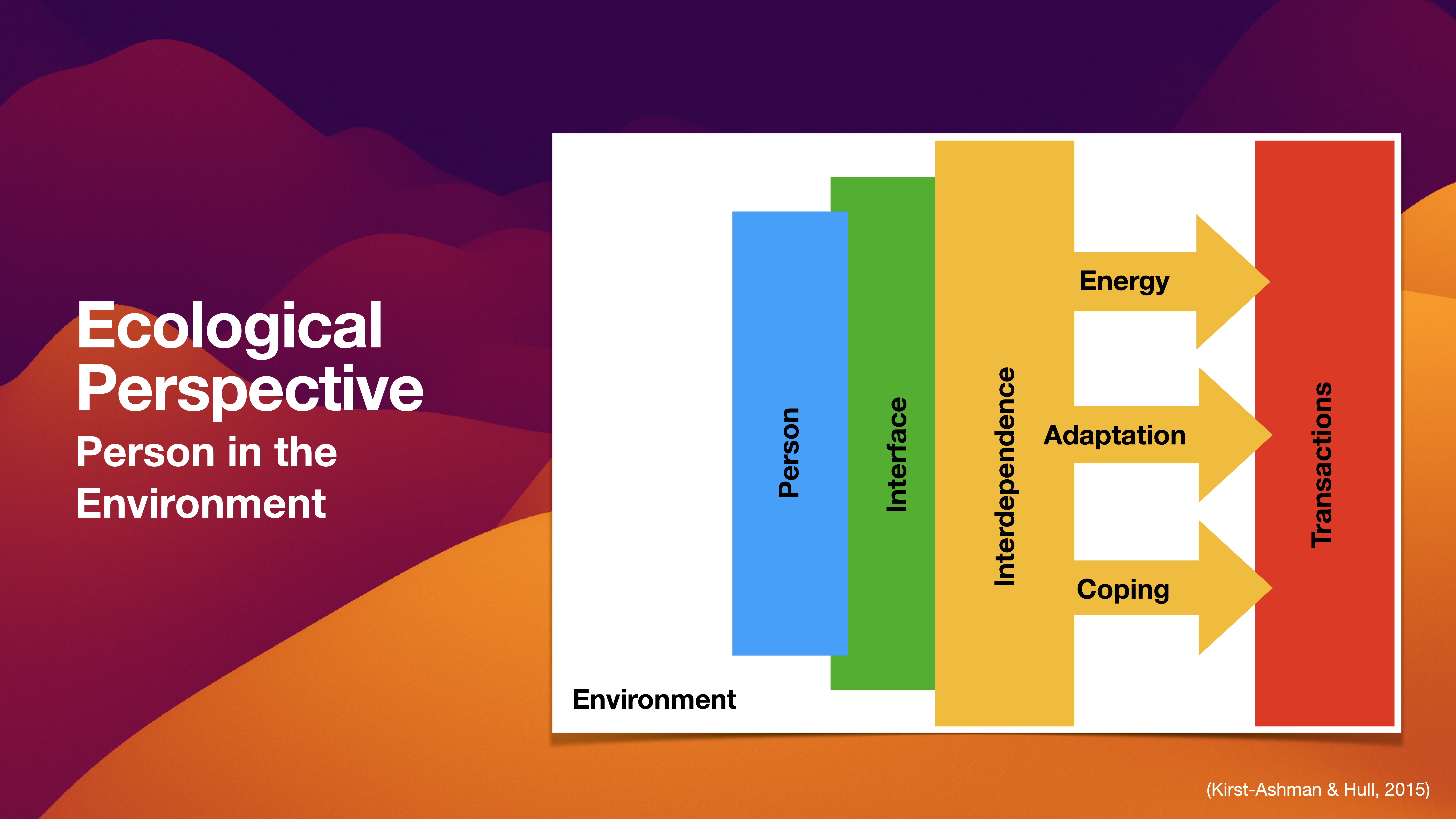 Diagram illustrating the 'Ecological Perspective' with labeled sections: 'Person,' 'Interface,' 'Environment,' and arrows for 'Energy,' 'Interdependence,' 'Adaptation,' 'Coping,' and 'Transactions.' Background shows a gradient from purple to orange. Text: 'Ecological Perspective, Person in the Environment' and citation '(Kirst-Ashman & Hull, 2015).'