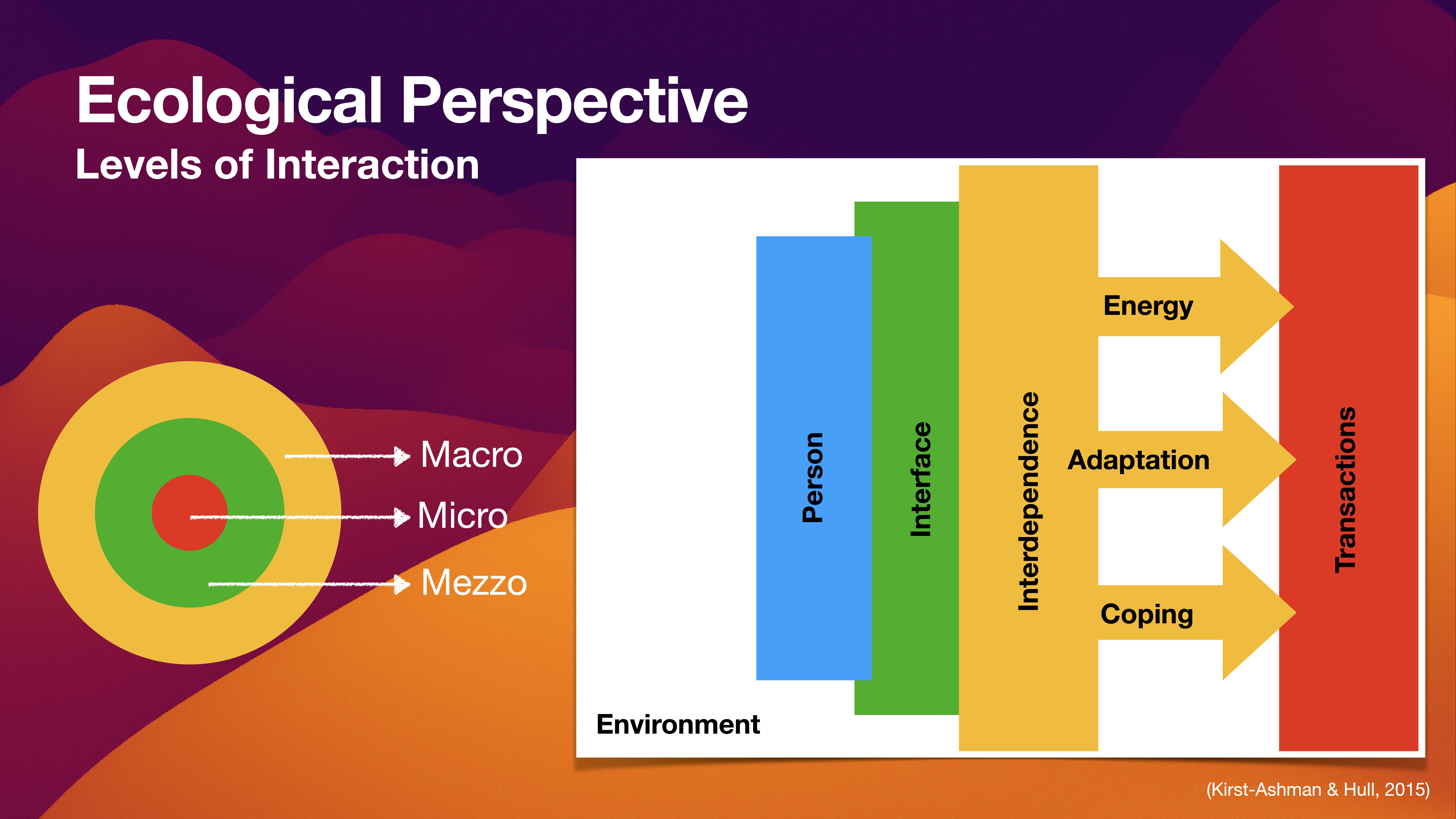 A diagram illustrates the 'Ecological Perspective' with concentric circles labeled Macro, Micro, and Mezzo, and a bar chart showing Person, Interface, and Environment interacting with Energy, Adaptation, Coping, and Transactions.