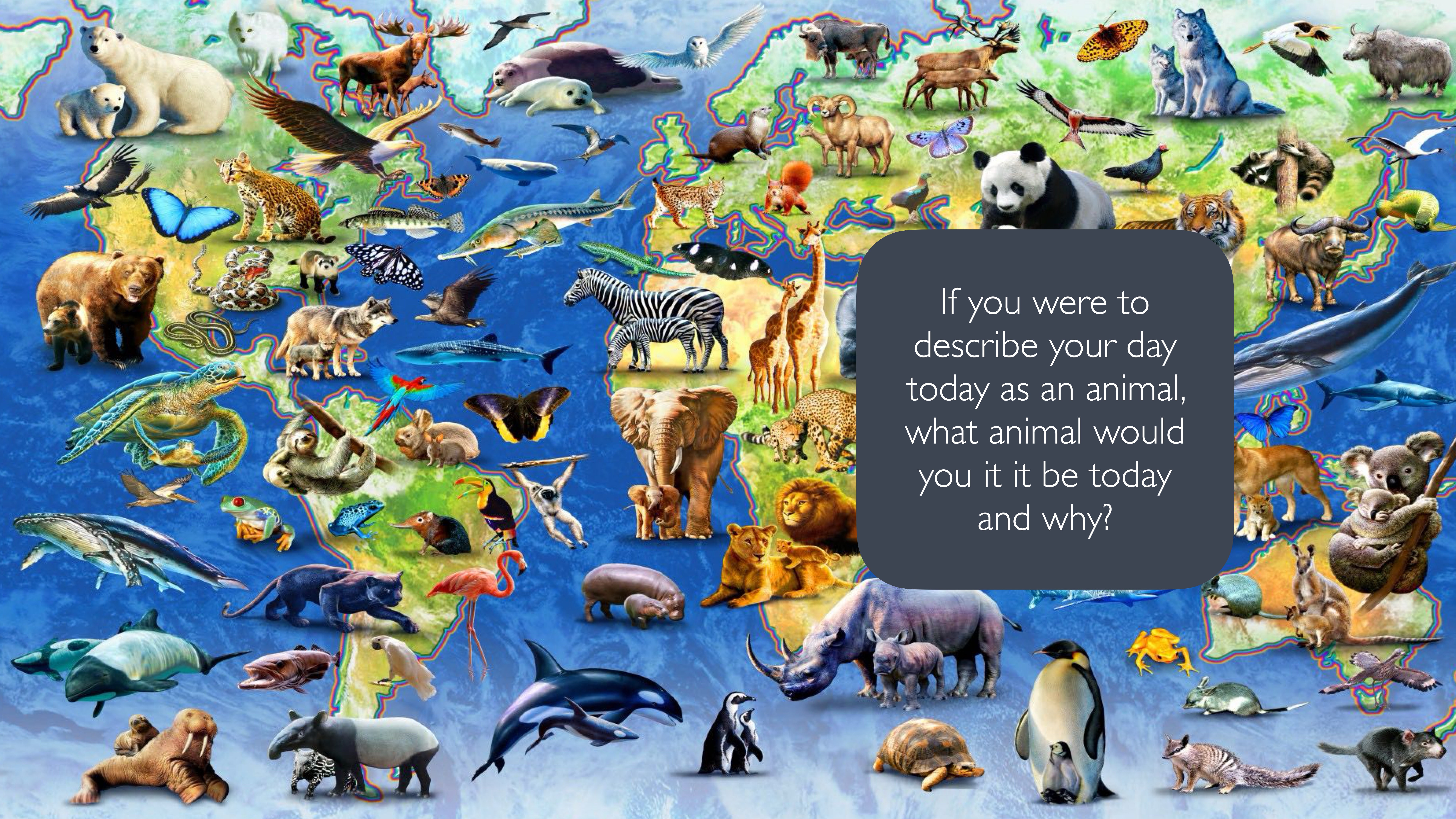 Animals are positioned on a world map, illustrating diverse wildlife from different regions. A text box asks, 'If you were to describe your day today as an animal, what animal would you it be today and why?'