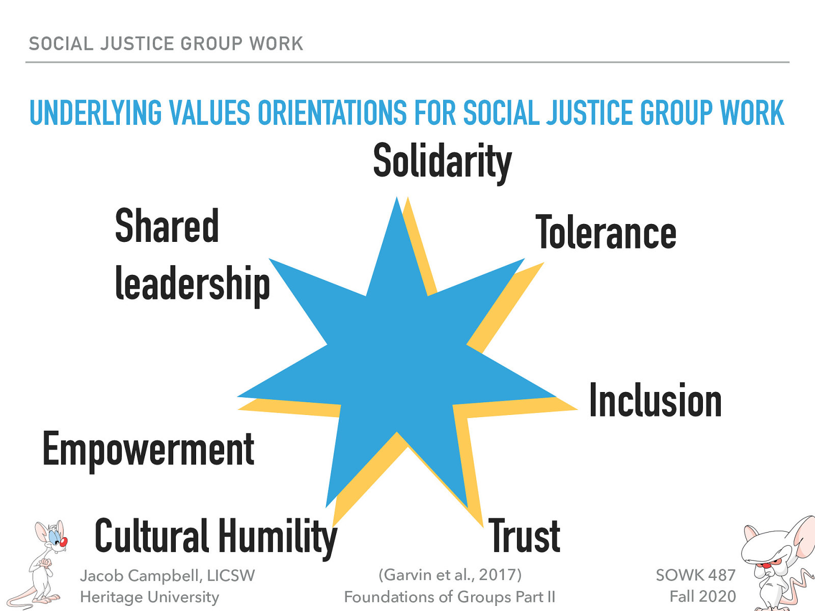  Talk about each value  [Small Group Activity] Break up into groups and have talk about how you would know that you have these values within a group.  Solidarity Tolerance Inclusion Trust Cultural Humility Empowerment Shared leadership 
