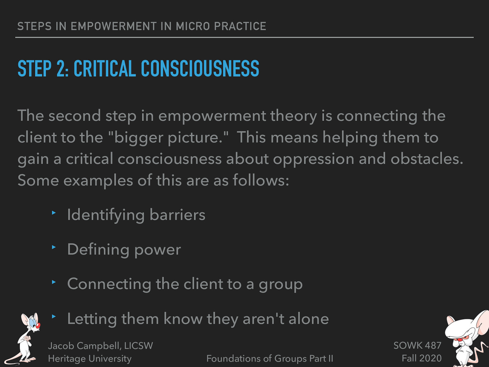 The second step in empowerment theory is connecting the client to the “bigger picture.”  This means helping them to gain a critical consciousness about oppression and obstacles.  Some examples of this are as follows:  Identifying barriers Defining power Connecting the client to a group Letting them know they aren’t alone 
