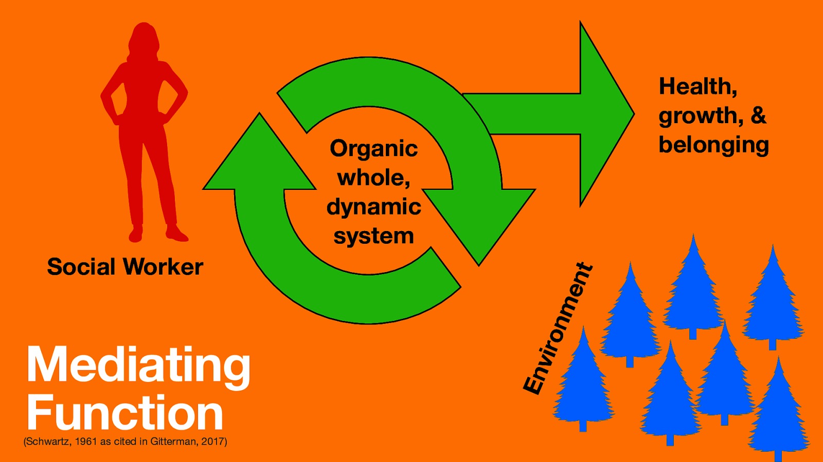 Health, growth, & belonging Mediating Function (Schwartz, 1961 as cited in Gitterman, 2017) Env Social Worker iron me nt Organic whole, dynamic system
