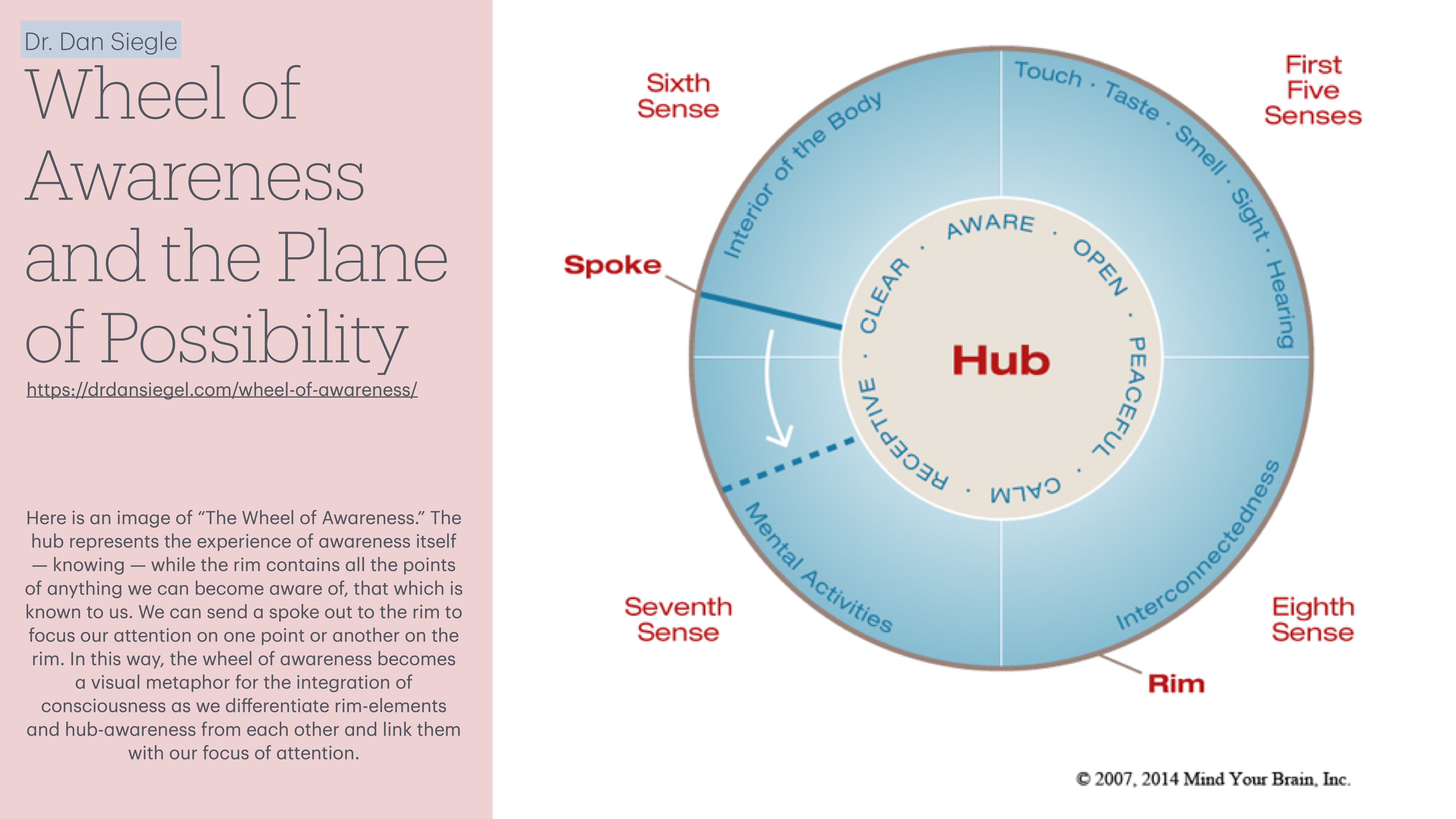 A diagram titled 'Wheel of Awareness and the Plane of Possibility' features a circular model. The central 'Hub' represents awareness. Surrounding 'Rim' includes senses like sight, sound. Spokes connect these elements. Text highlights integration of consciousness, differentiating rim-elements and hub-awareness. Sixth, Seventh, and Eighth Senses are labeled, along with First Five Senses. © 2007, 2014 Mind Your Brain, Inc.