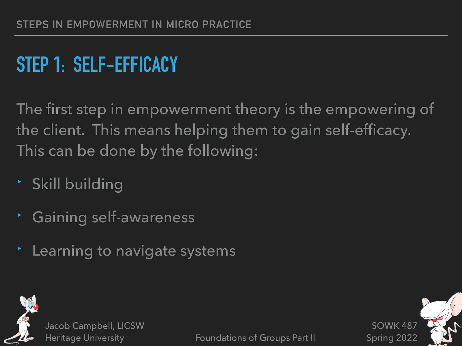 STEPS IN EMPOWERMENT IN MICRO PRACTICE STEP 1: SELF-EFFICACY The rst step in empowerment theory is the empowering of the client. This means helping them to gain self-ef cacy. This can be done by the following: ‣ Skill building ‣ Gaining self-awareness ‣ Learning to navigate systems SOWK 487 Spring 2022 Foundations of Groups Part II fi fi Jacob Campbell, LICSW Heritage University
