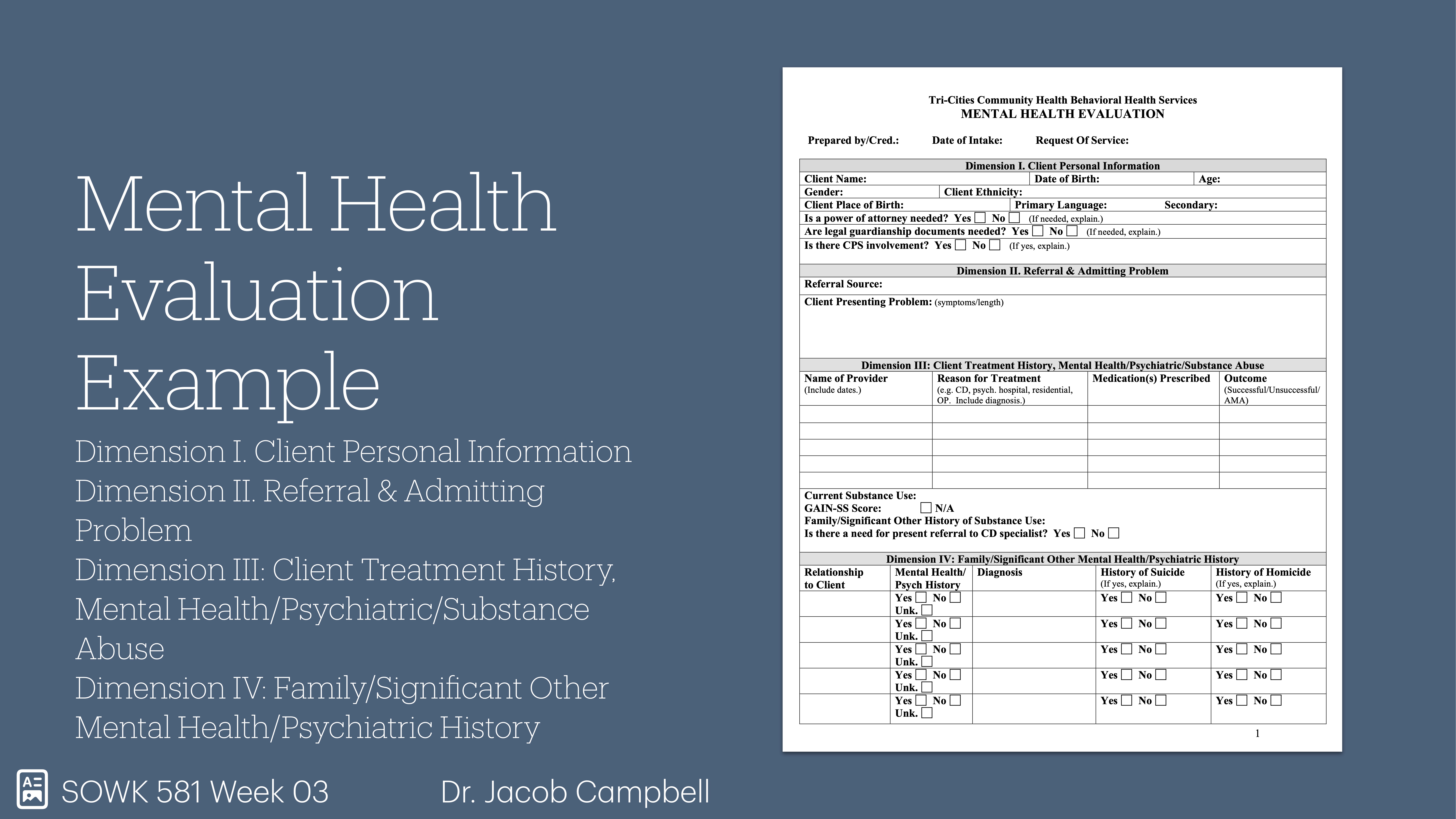 A slide titled 'Mental Health Evaluation Example' displays a structured form detailing client information across various dimensions, including personal data and treatment history, next to explanatory text.