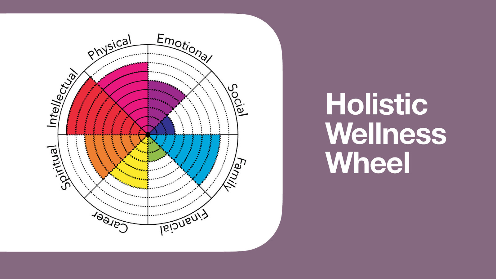 Holistic Wellness Wheel
