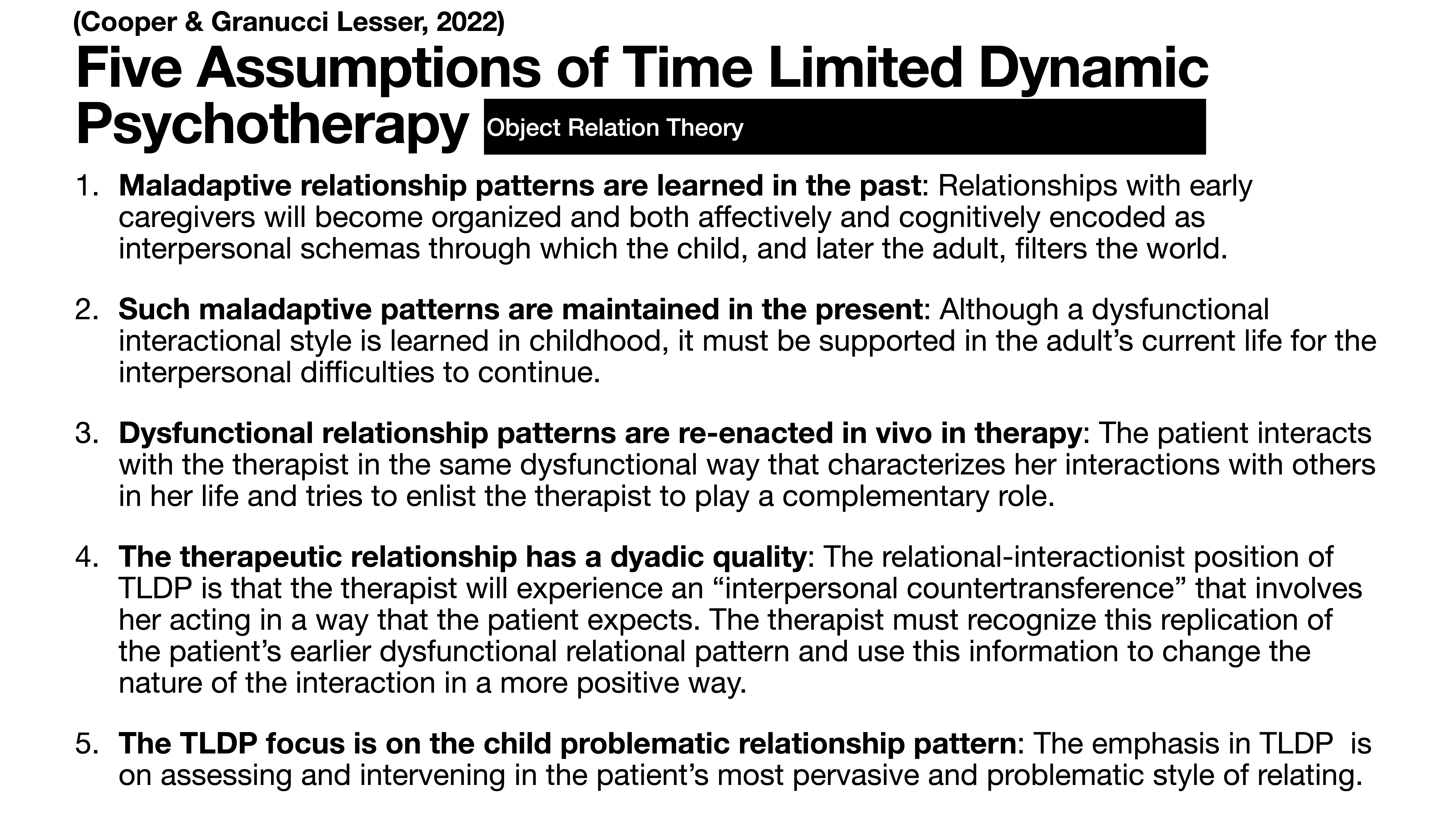 Slide titled 'Five Assumptions of Time Limited Dynamic Psychotherapy' from a presentation. Contains detailed text summarizing key assumptions, including past learning, present maintenance of patterns, reenactment in therapy, dyadic therapeutic relationship, and child-focus in patterns.