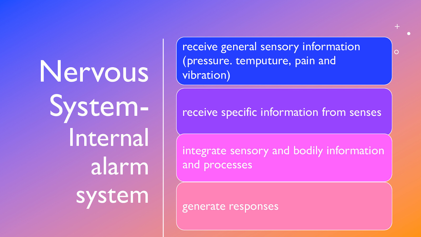 Nervous System- Internal alarm system receive general sensory information (pressure. temputure, pain and vibration) receive specific information from senses integrate sensory and bodily information and processes generate responses
